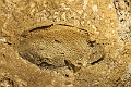 Resize of _MG_8914